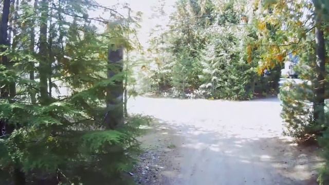 MJX Bugs 19 - Campsite смотреть онлайн
