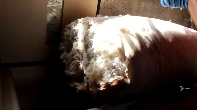 Чистка Подушек. Первый заказ после карантина