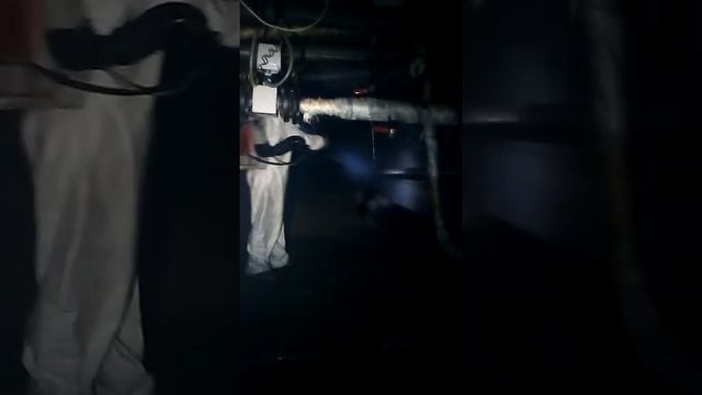 Уничтожение блох(дезинсекция) в подвале производственного помещения. смотреть онлайн