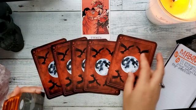 Giving the Mabon Seasons of the Witch Oracle Another Chance ✨ смотреть онлайн