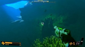 🐬ГЛУБОКОЕ, СИНЕЕ МОРЕ!🐬