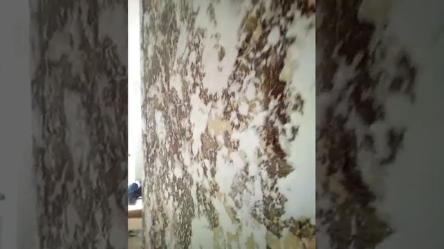 Декоративная штукатурка, отделка откосов смотреть онлайн