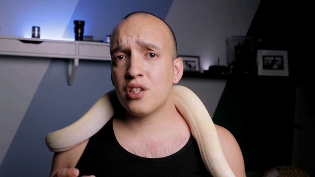 Boa Constrictors For Beginners смотреть онлайн