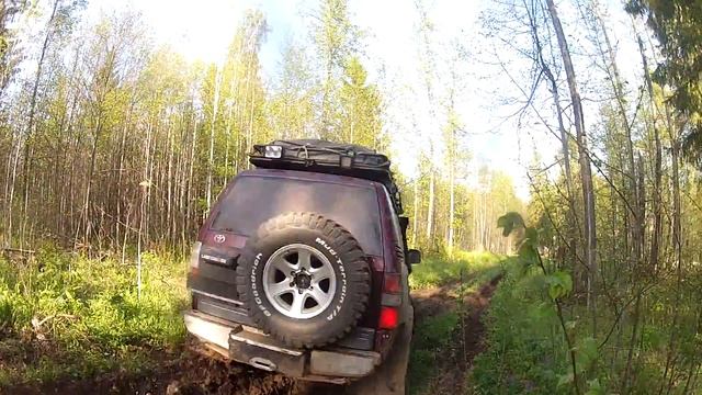 Прадо в лесу смотреть онлайн