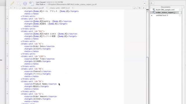 Multi Lingual Report with BI Publisher смотреть онлайн
