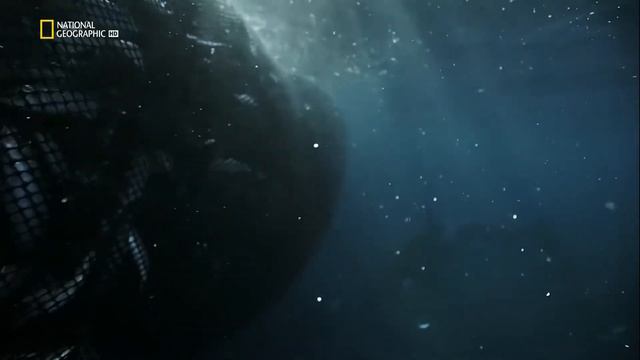 Враждебная планета S01E02 Океаны. Киты против людей. смотреть онлайн