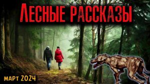 ЛЕСНЫЕ РАССКАЗЫ | Страшные истории