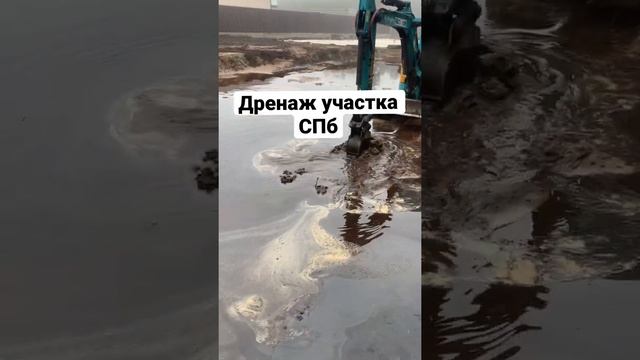 Мини экскаватор дренаж в болоте / из болота в красивый участок #дренаж #дача #дачныйвлог #экскавато