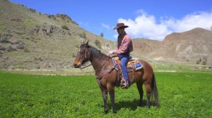 Блиппи посещает ранчо - Блиппи на Русском - Изучай этот Мир вместе с Блиппи - Blippi