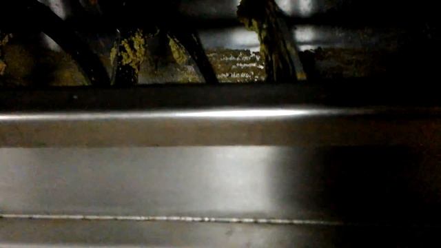 Как делается оливковое масло (Extra Virgin Olive Oil) смотреть онлайн