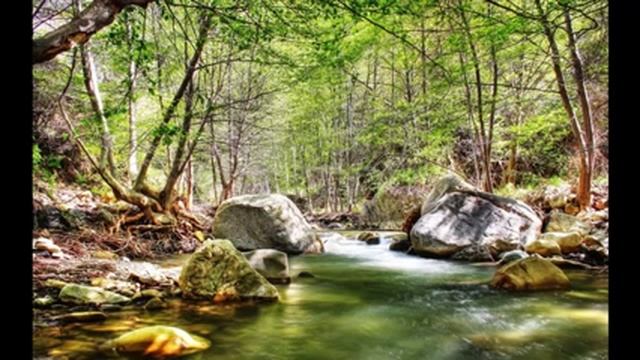 3 часа длиной тибетские поющие чаши Медитация Чакра Исцеление Тон Д # Музыка Сакральная ча смотреть онлайн