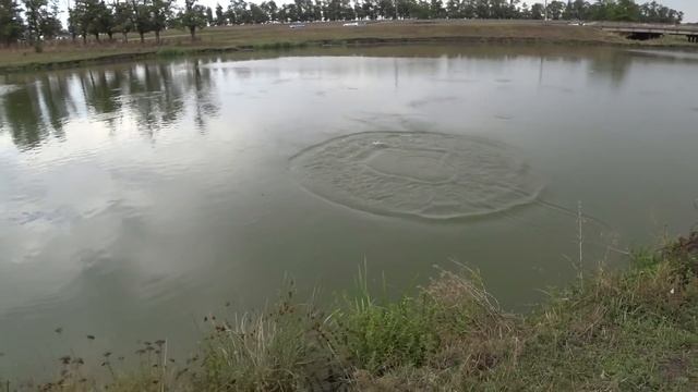 Залезли на ЧУЖОЙ водоём. Рыбалка КАСТИНГОВОЙ сетью.