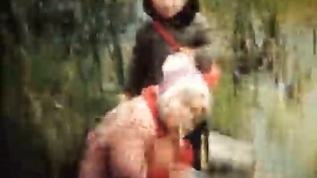 Перезапись с кинопленки 8 mm на DVD.mpeg смотреть онлайн