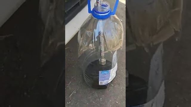 Замена масла через щуп Aliexpress. Skoda Octavia A7 1.6 CVWA. смотреть онлайн