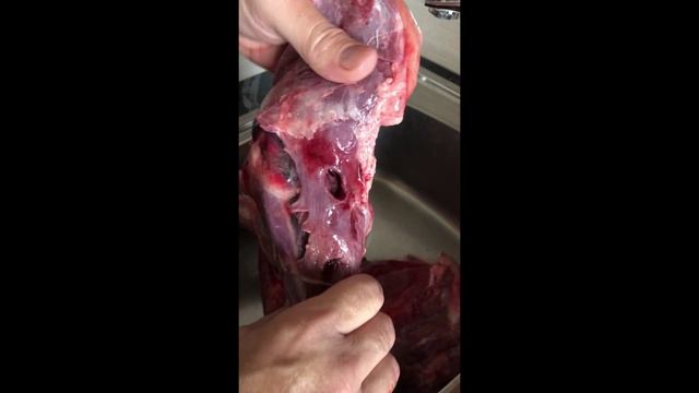 Попадание по месту - охота на косулю. смотреть онлайн