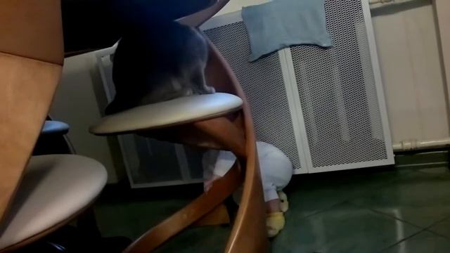 Алиса дергает Несси за хвост смотреть онлайн