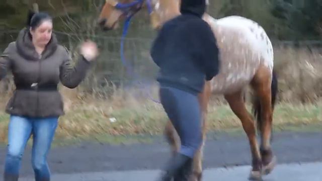 Gangnam Style Parody смотреть онлайн