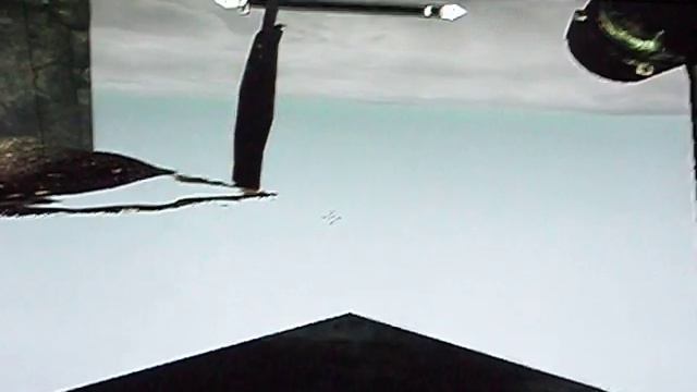 Skyrim disappearing wall смотреть онлайн