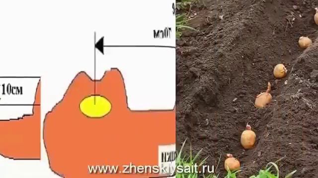 "КАРТОШКА" СЕКРЕТЫ ХОРОШЕГО УРОЖАЯ 2018! КАК ПРАВИЛЬНО смотреть онлайн