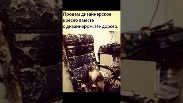 Продам дизайнерское кресло вместе с дизайнером. смотреть онлайн