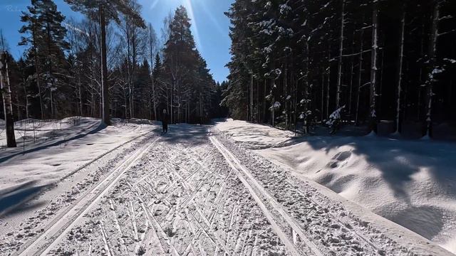 🇳🇴 Walking in between Cross-Country Skiers & Merry Christmas Music | Jazz & Piano смотреть онлайн