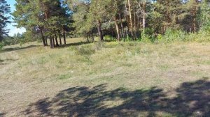 Антенна "WINDOM" FD-3  В народе несимметричный Диполь. Диапазоны  40-20-10м