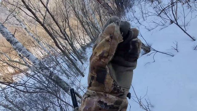 Трофейный изюбрь! смотреть онлайн