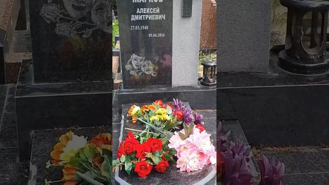 могила Алексея Жаркова / Народный артист РФ / Покровское Селятинское кладбище #shorts 2023 смотреть онлайн