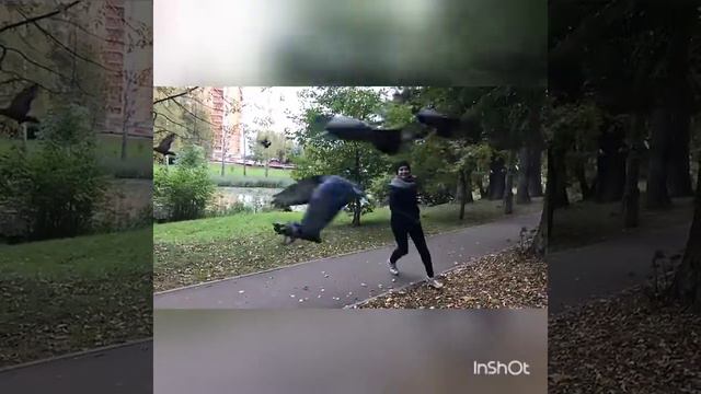 Диана И Голуби - Замедленная Съёмка смотреть онлайн