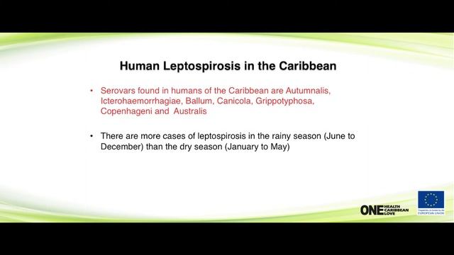 Leptospirosis смотреть онлайн