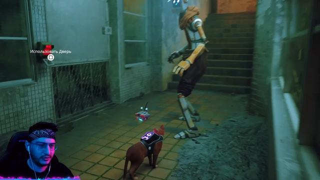 ДА БУДЕТ СОЛНЦЕ! (Stray) #6 смотреть онлайн