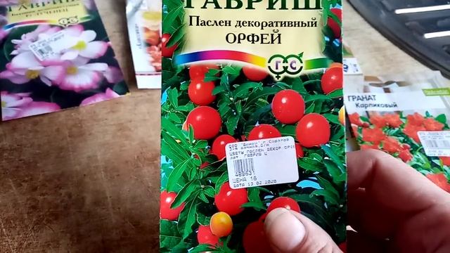 Кофе Арабика,Карликовый гранат,Бегония из семян.Экзотические растения дома из семян смотреть онлайн