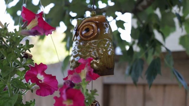 Canon EOS RP, 1080p, 60fps , EF 50mm 1.4 on Zhiyun webill S смотреть онлайн