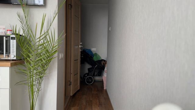 24 ЧАСА с ребёнком 1 ГОД смотреть онлайн