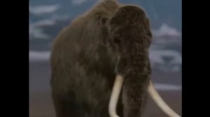 песня кручу педали из мультфильма прогулка кота Леопольда