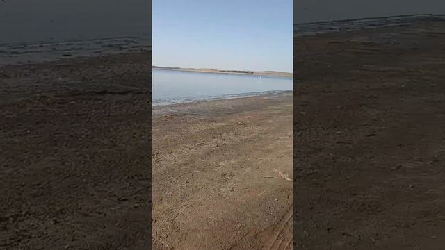 Шардара Ахота рибалка смотреть онлайн