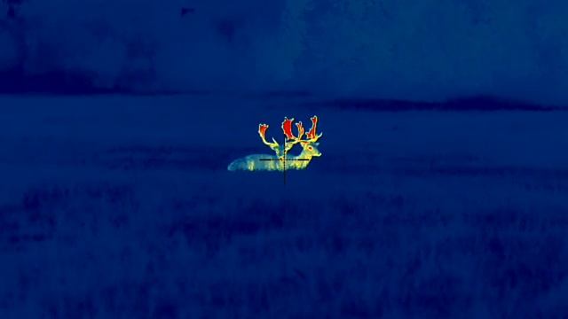 Pulsar Thermion 2 LRF XP50 PRO
