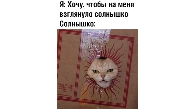 Лютые приколы. На лугу пасется ко... КОТ смотреть онлайн