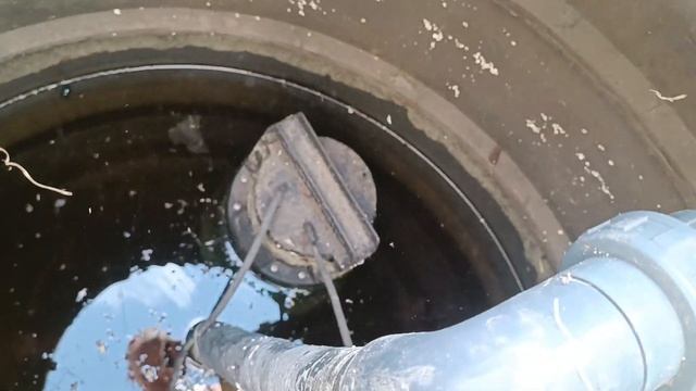 биовегетарий как это устроено с наружи 1 смотреть онлайн