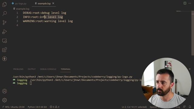 Python logging – Python tutorial for beginners – CodeBerry Programming School смотреть онлайн