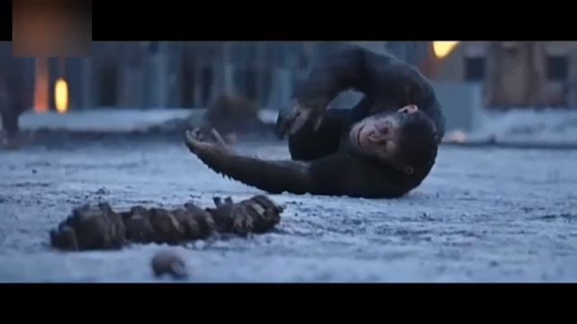 MAYMUNLAR SAYORASI 3 AQSH FILMI