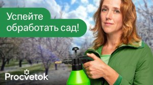 ПРОСНУЛИСЬ САМЫЕ ОПАСНЫЕ ВРЕДИТЕЛИ САДА! Успейте провести главную весеннюю обработку от вредителей