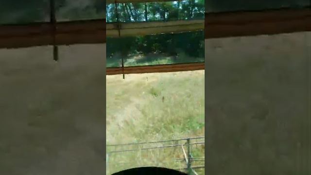 Ск6,23гЗаростает урожай. смотреть онлайн