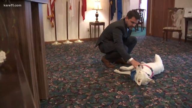 Coon Rapids funeral home 'employs' therapy dog смотреть онлайн