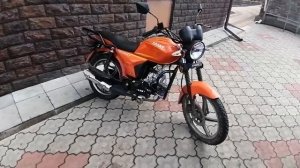 Альфа против питбайка! Сравнение альфы и пит байка, что лучше?