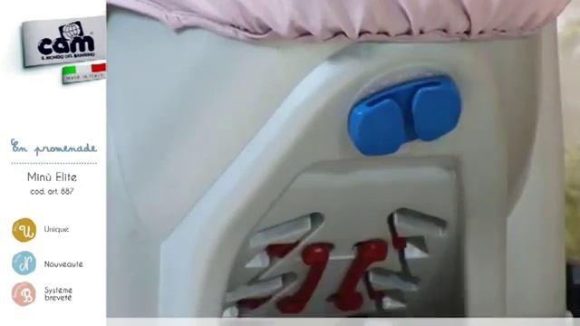 Коляска Cam Minu Elite