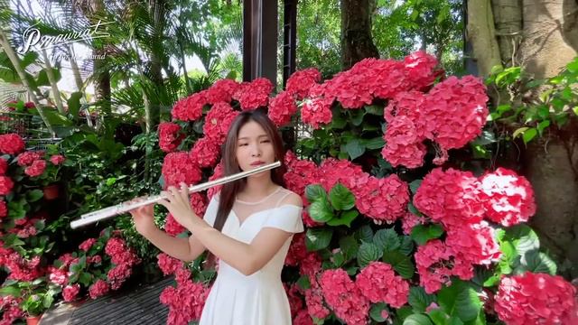 Flute & Violin Duet | Annie Yang 楊安莉 ft. Mimi - TA (P. Mauriat Flute PFL-781) смотреть онлайн