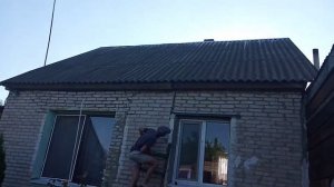 Летучие мыши в деревне