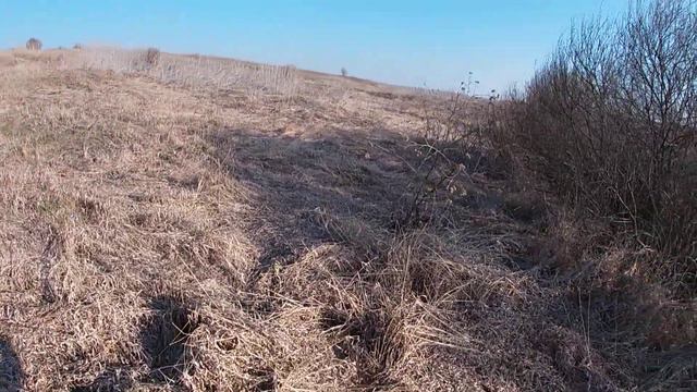 9.04.2020г.Дон Бретон Дельта. Тренировки. смотреть онлайн