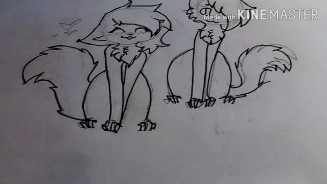 Коты воители обзор на мои рисунки новых мало смотреть онлайн